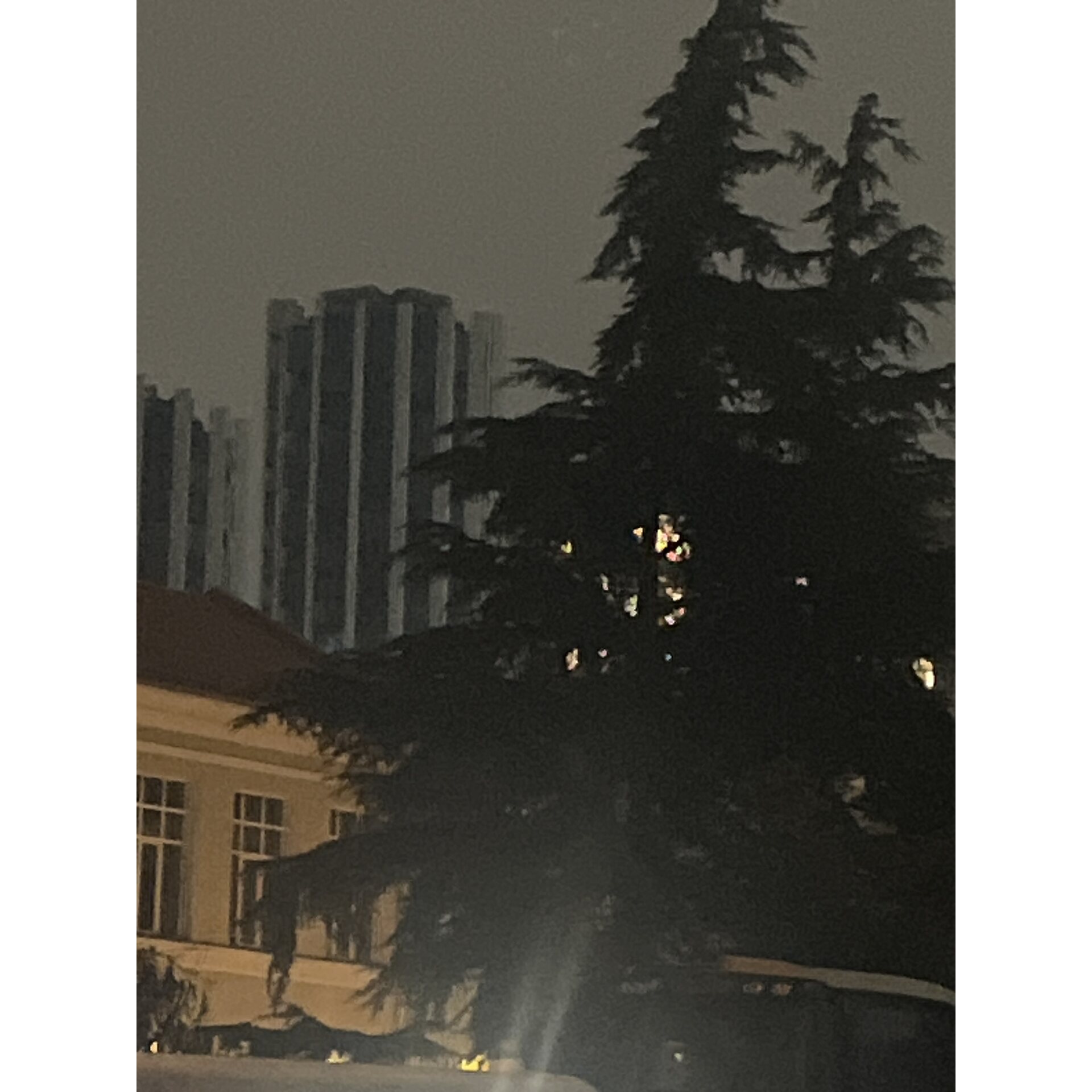 პოსტის ფოტო